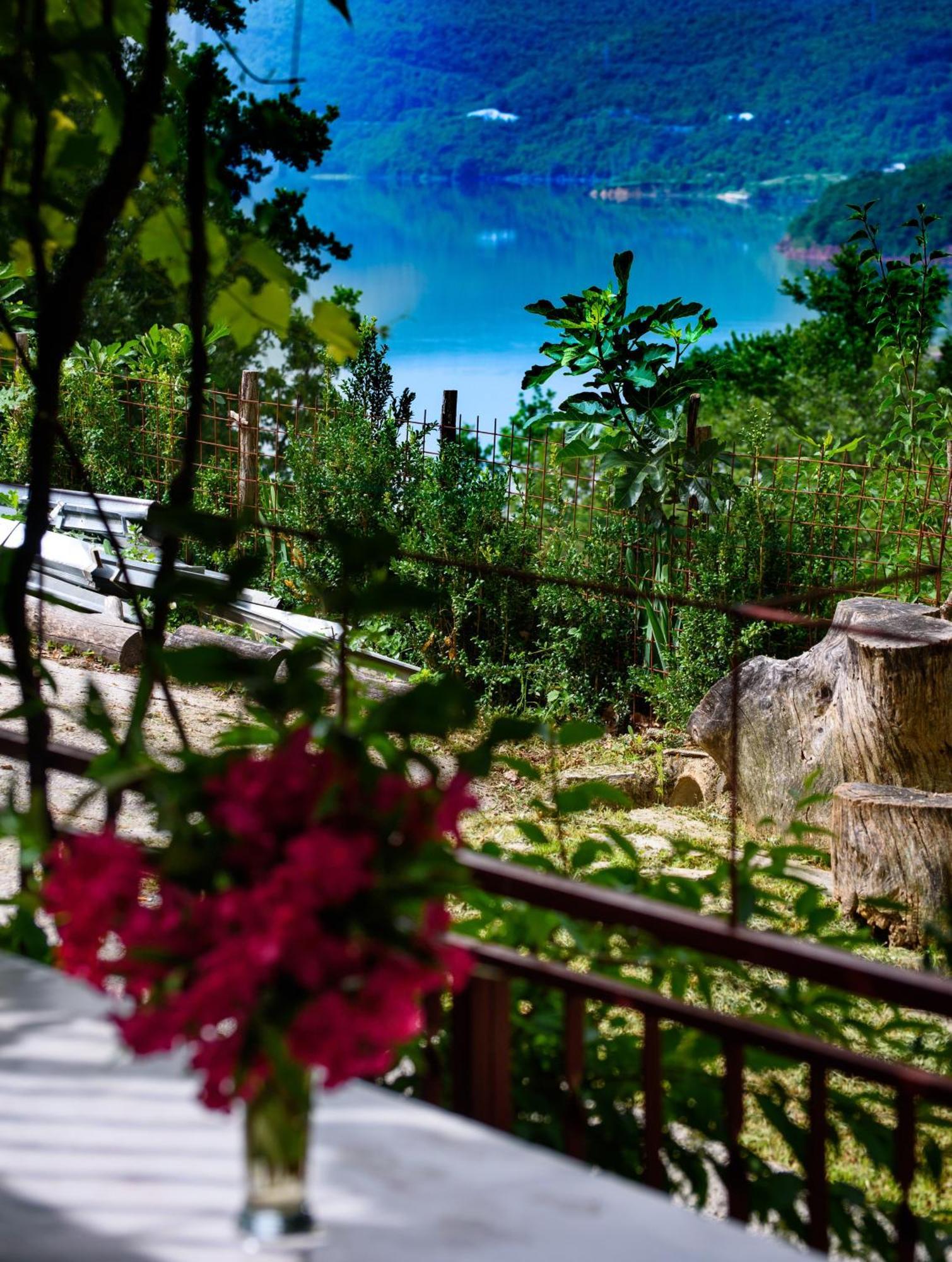 Apartments Cvitini Dvori Garjak Vrlika Exteriér fotografie